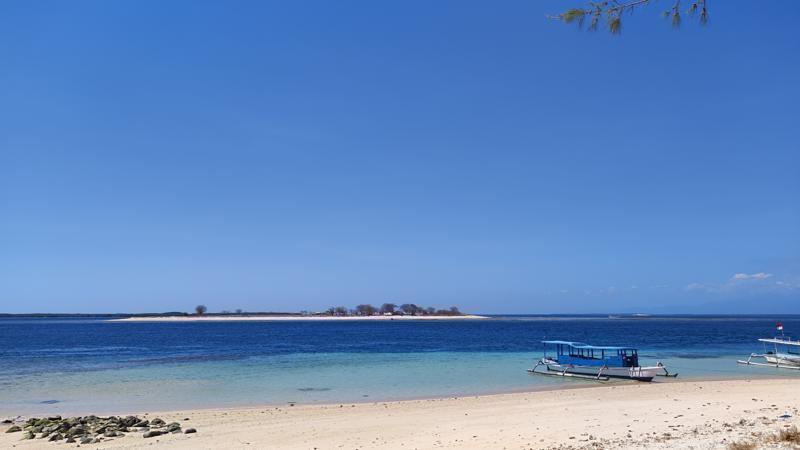 IMG_20240814_125041.jpg
