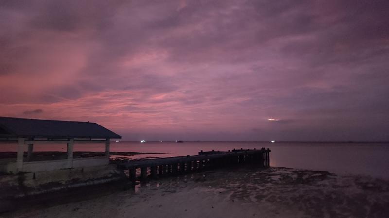 IMG_20240902_183256.jpg