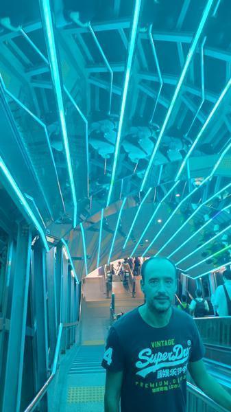 IMG_20240927_173045.jpg