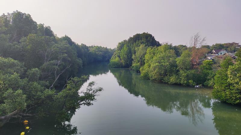 IMG_20250202_164123.jpg
