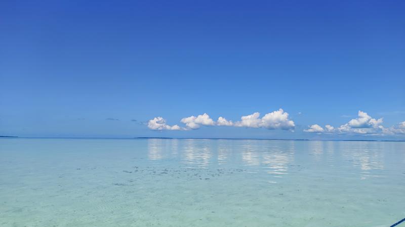IMG_20250214_124825.jpg