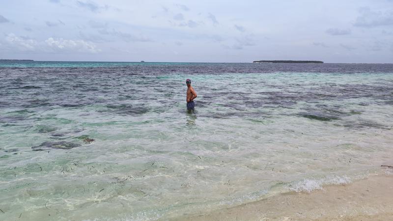 IMG_20250331_114320.jpg