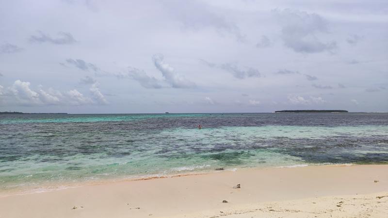 IMG_20250331_115558.jpg