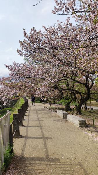 IMG_20250410_084039.jpg