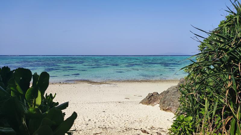 IMG_20250415_162610.jpg