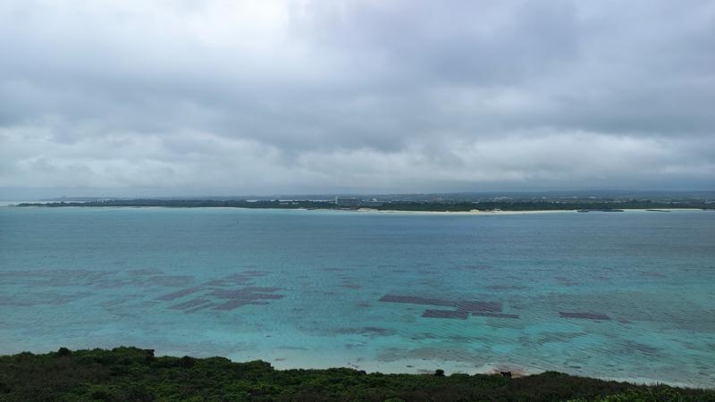 IMG_20250417_154201.jpg