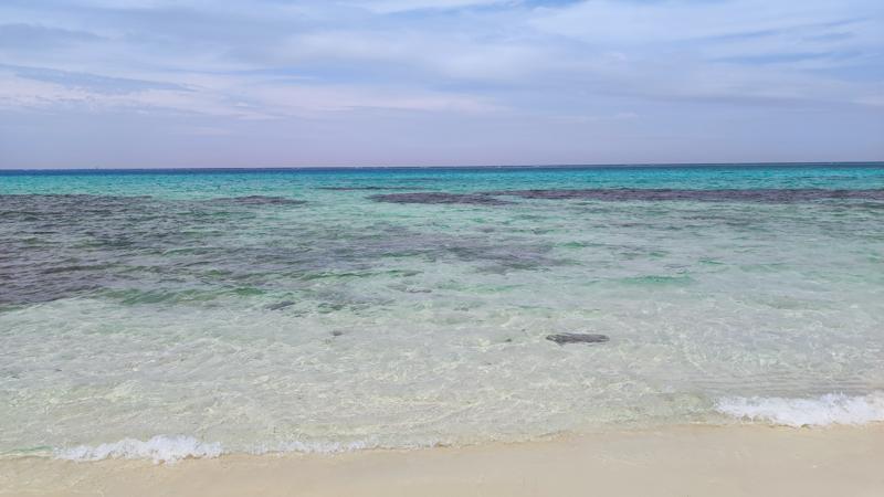 IMG_20250418_134403.jpg
