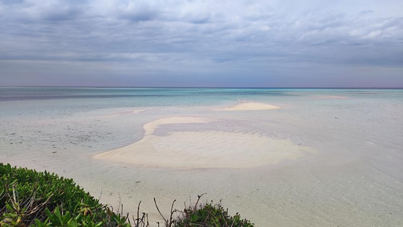 IMG_20250418_155438.jpg