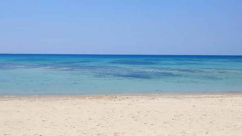 IMG_20250424_110512.jpg