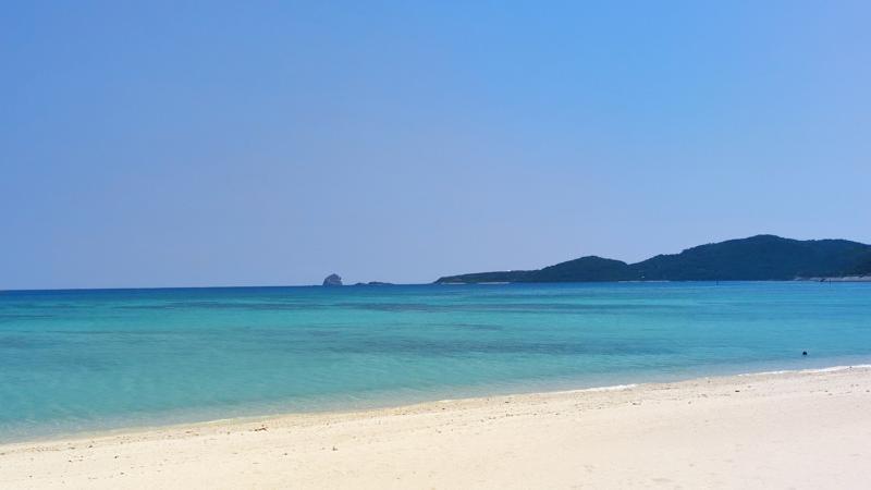 IMG_20250424_144218.jpg